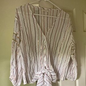 Cute, sheer,  sparkly stripe, tie waist, neck, wear with jeans, slacks or skirt